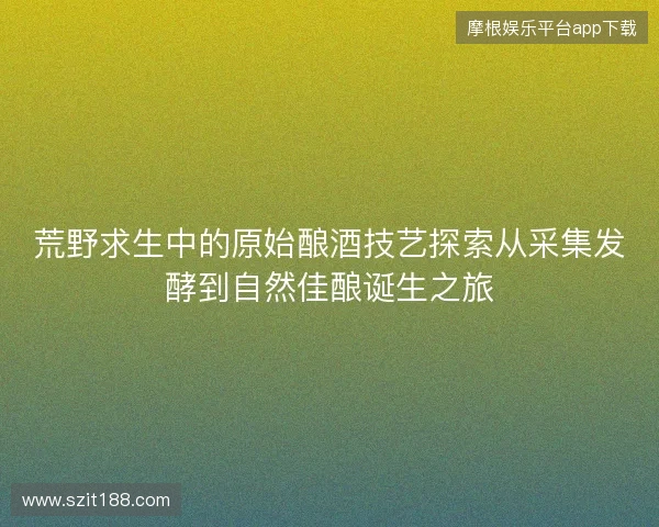 荒野求生中的原始酿酒技艺探索从采集发酵到自然佳酿诞生之旅
