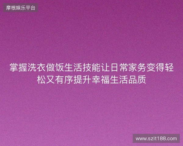 掌握洗衣做饭生活技能让日常家务变得轻松又有序提升幸福生活品质